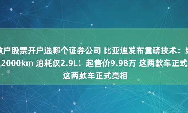 散户股票开户选哪个证券公司 比亚迪发布重磅技术：续航超2000km 油耗仅2.9L！起售价9.98万 这两款车正式亮相