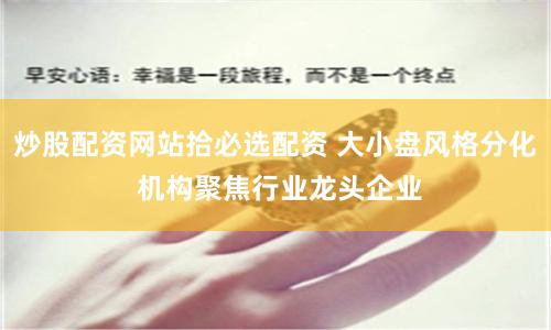 炒股配资网站拾必选配资 大小盘风格分化 机构聚焦行业龙头企业