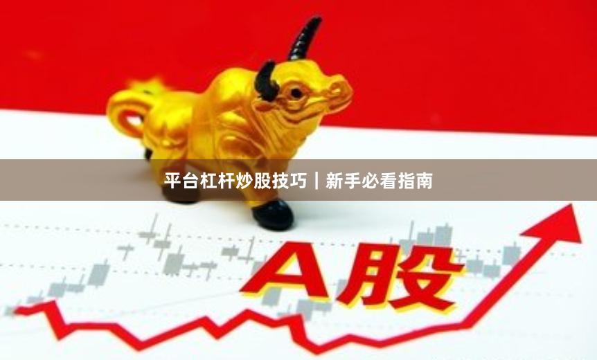 平台杠杆炒股技巧｜新手必看指南