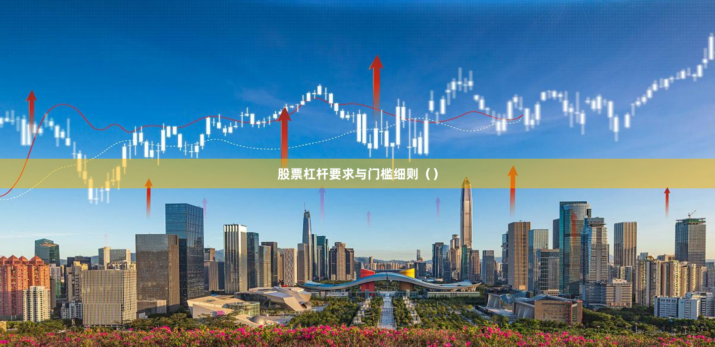 股票杠杆要求与门槛细则（）